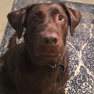 Meet your Posher, Veronica